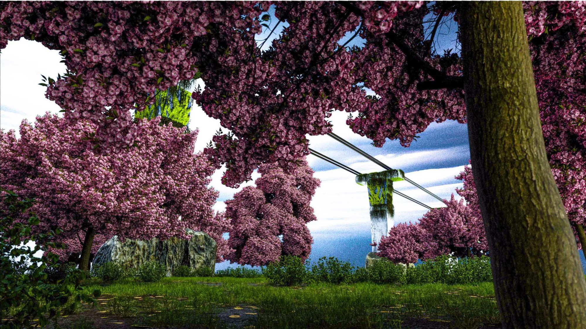 A rail line passing over a grove of pink cherry blossoms.